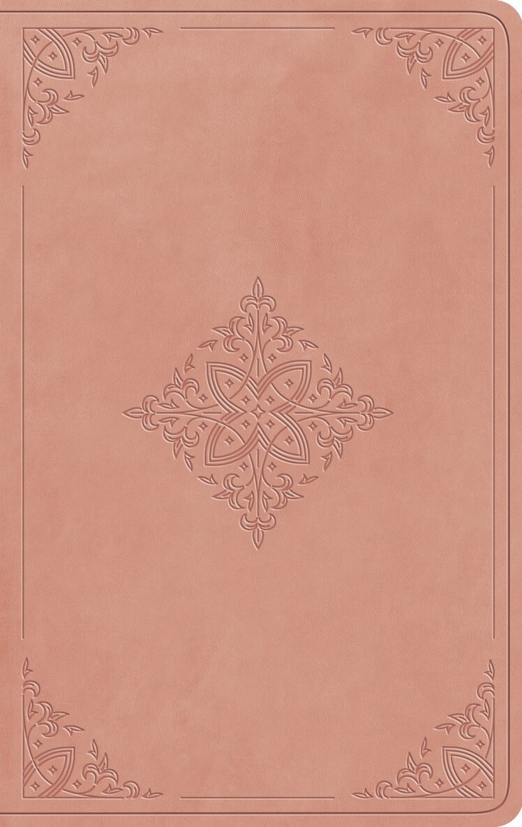 Esv Bibles - ESV Large Print Value Thinline Bible, Inbunden