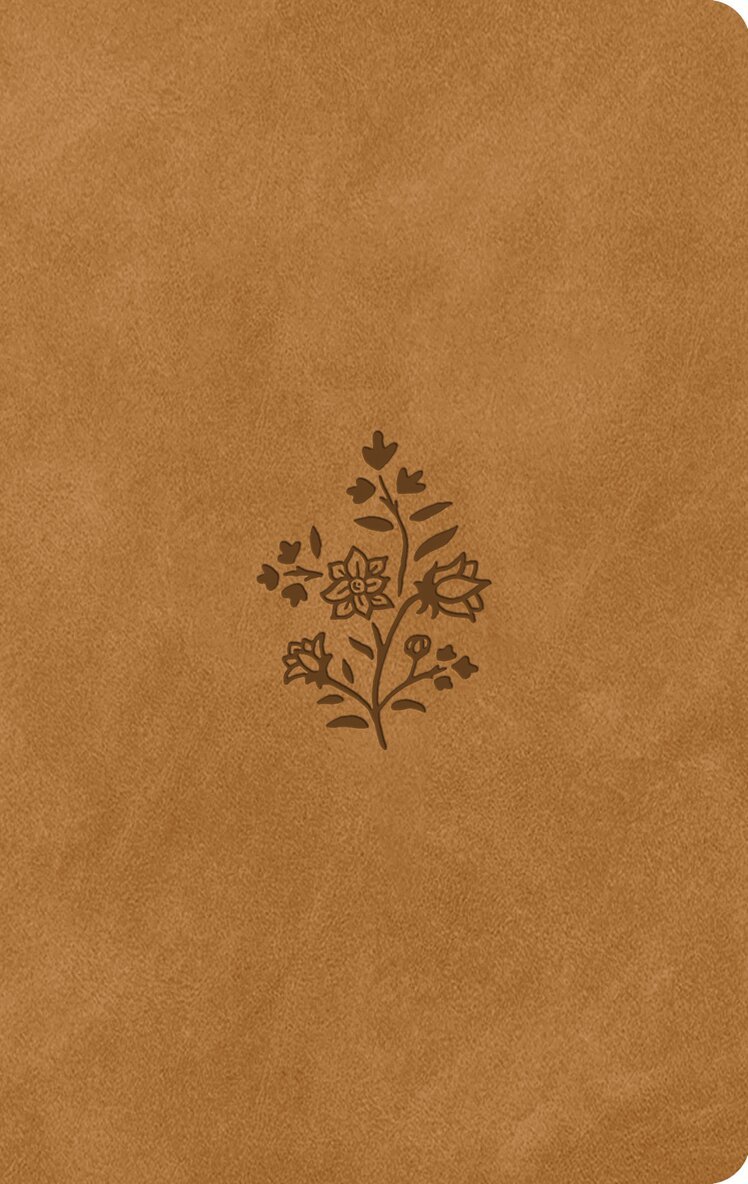 Esv Bibles - ESV Large Print Value Thinline Bible, Inbunden