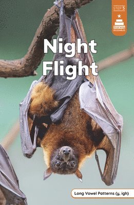 Marley Richmond - Night Flight, Inbunden