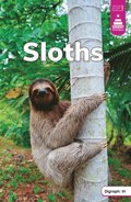 Sloths