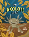 My Axolotl Life