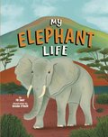 My Elephant Life