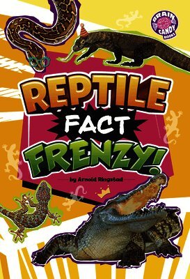 Arnold Ringstad - Reptile Fact Frenzy!, Häftad