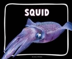 Lisa J. Amstutz - Squid, Häftad
