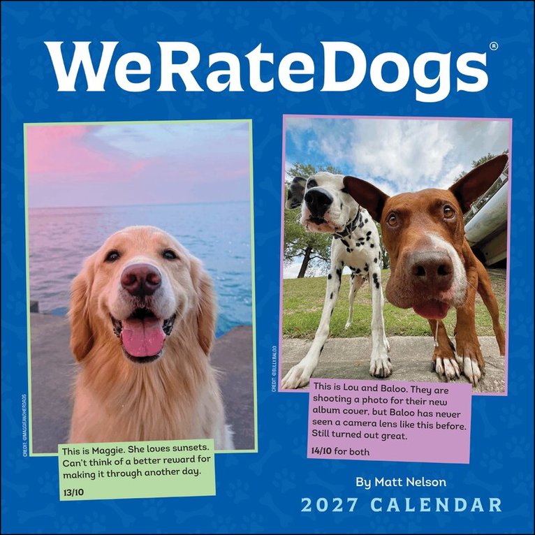 Matt Nelson - WeRateDogs 2027 Wall Calendar, Övrigt