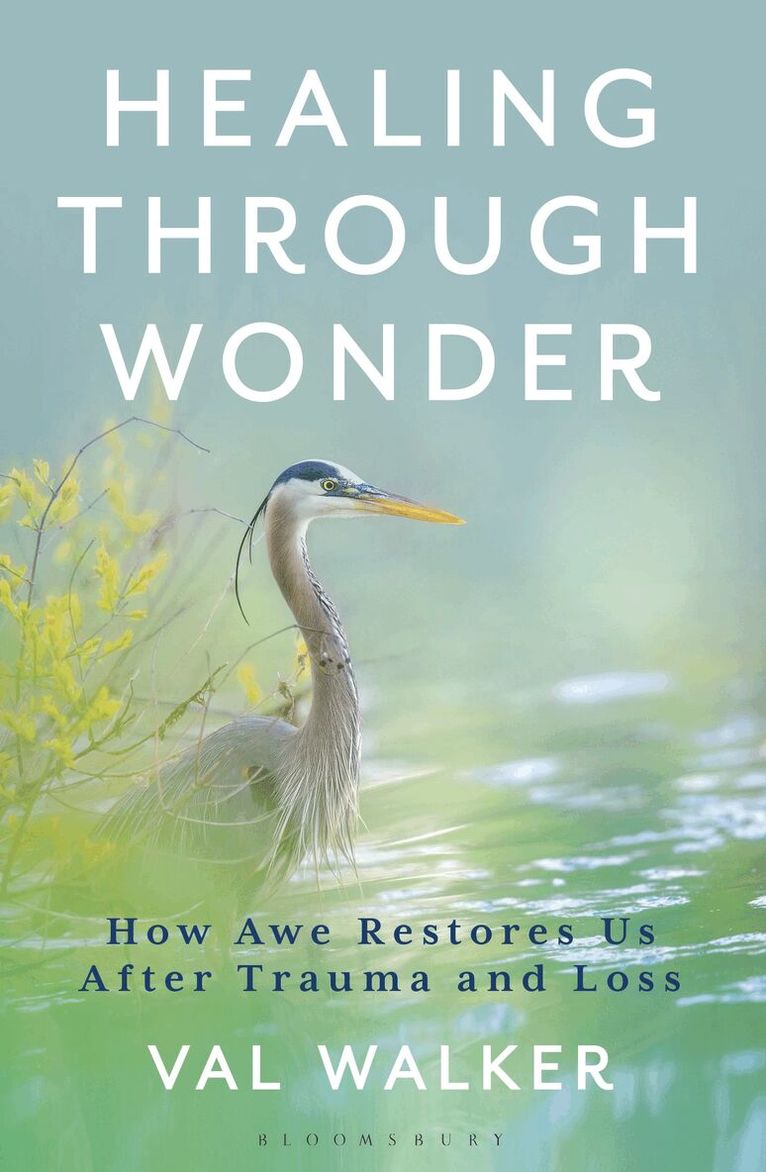 Val Walker - Healing Through Wonder, Inbunden