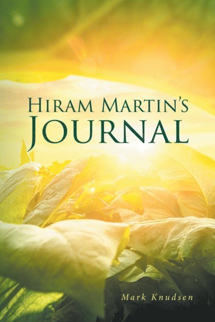 Mark Knudsen - Hiram Martin's Journal, E-bok