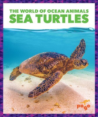 Mari C. Schuh - Sea Turtles, Inbunden