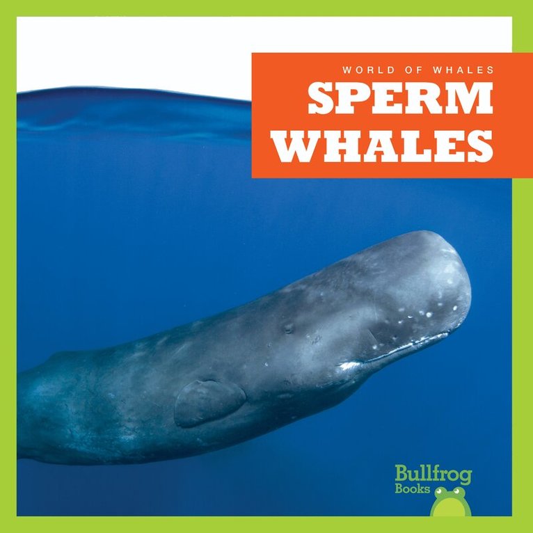 Katie Chanez - Sperm Whales, Inbunden