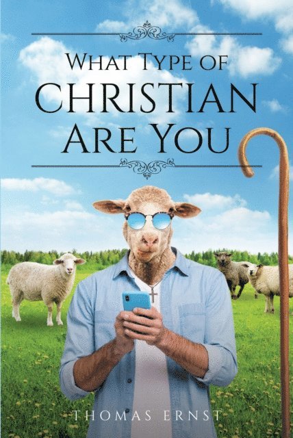 Thomas Ernst - What Type of Christian Are You, E-bok
