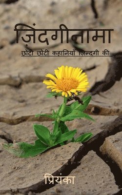 zindaginama / ज़िंदगीनामा