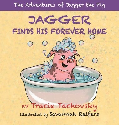 Tracie Tachovsky - Jagger the Pig Finds His Forever Home, Inbunden