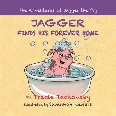 Tracie Tachovsky - Jagger the Pig Finds His Forever Home, Häftad