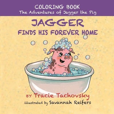 Tracie Tachovsky - Jagger the Pig Finds His Forever Home, Häftad
