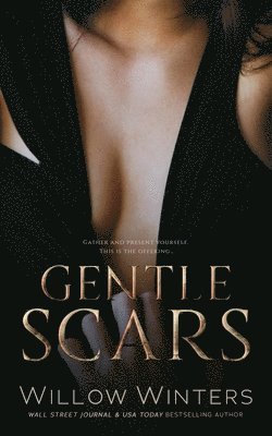Willow Winters - Gentle Scars, Häftad