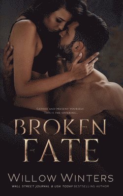 Willow Winters - Broken Fate, Häftad
