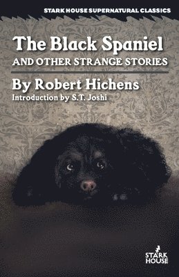 Black Spaniel and Other Strange Stories