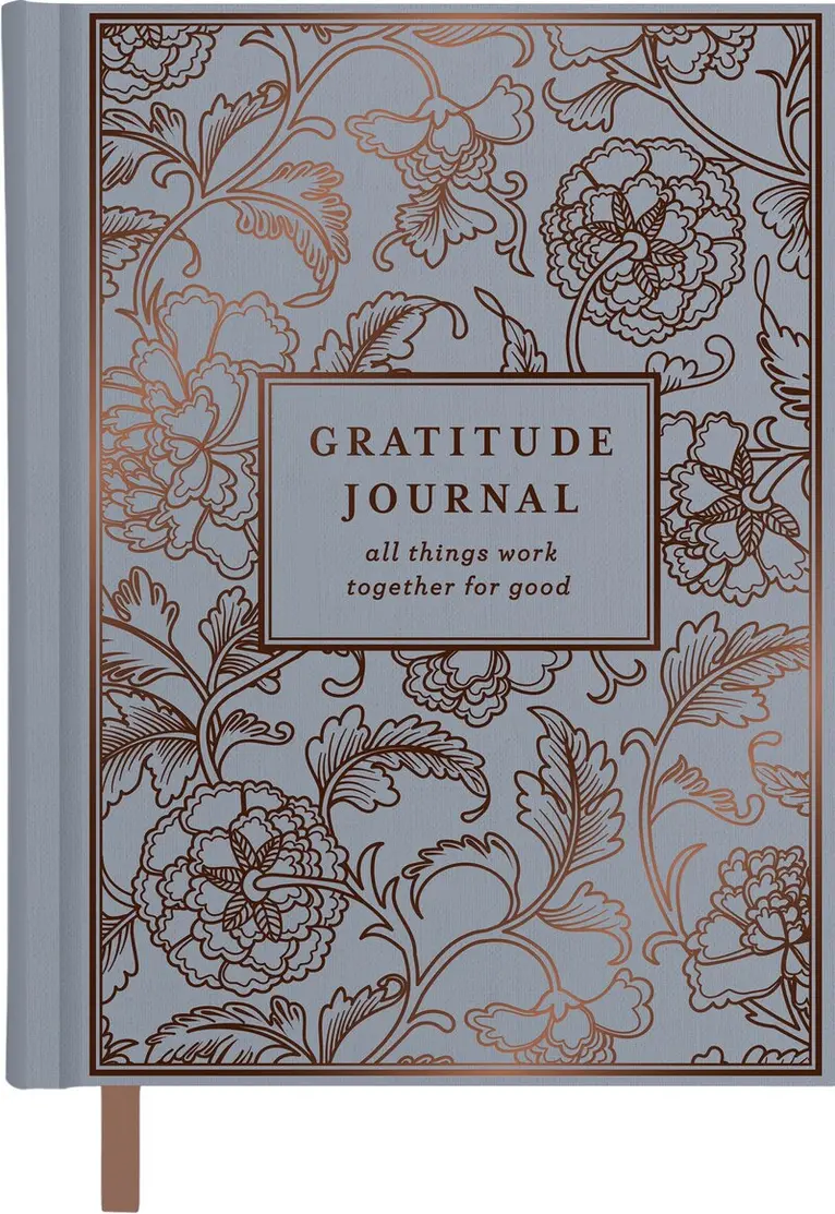 DaySpring - Gratitude Journal, Inbunden. Tillgänglighet: Lägg i varukorg