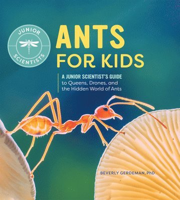 Beverly Gerdeman - Ants for Kids: A Junior Scientist's Guide to Queens, Drones, and the Hidden World of Ants, Inbunden