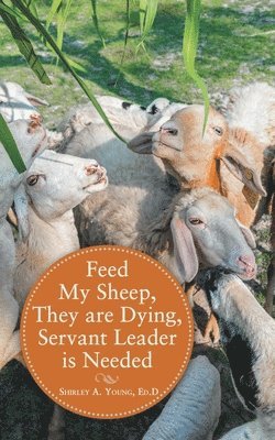 Shirley A Young Ed D - Feed My Sheep, They Are Dying, Servant Leader Is Needed, Häftad
