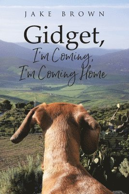 Jake Brown - Gidget, I'm Coming, I'm Coming Home, Häftad
