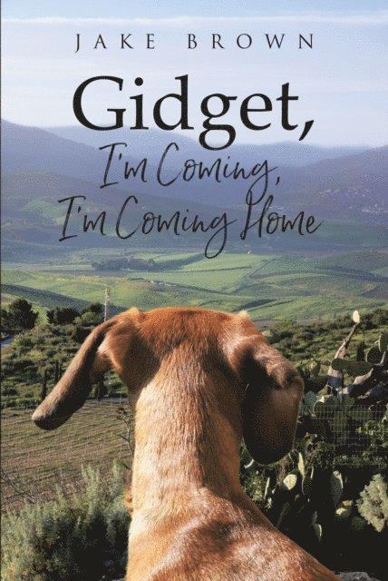Jake Brown - Gidget, I'm Coming, I'm Coming Home, E-bok