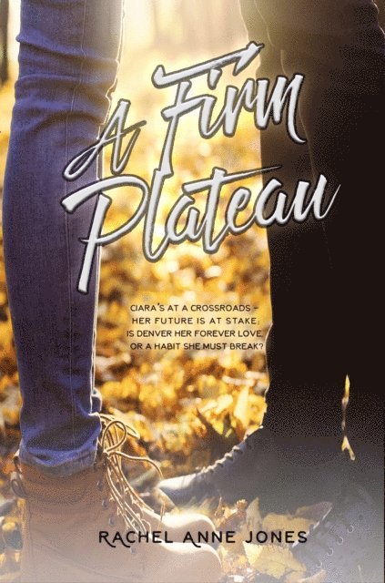 Rachel Anne Jones - Firm Plateau, E-bok. Tillgänglighet: Lägg i varukorg