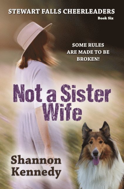 Shannon Kennedy - Not a Sister Wife, E-bok. Tillgänglighet: Lägg i varukorg