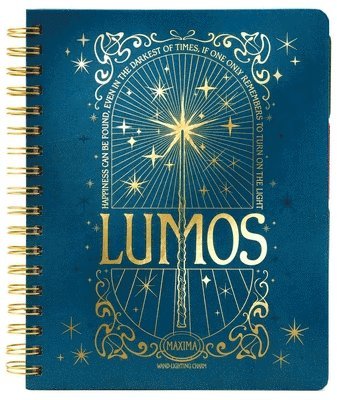 Insight Editions - Harry Potter: Spells and Potions 12-Month Undated Planner, Häftad