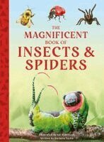 Barbara Taylor - Magnificent Book of Insects and Spiders, Inbunden. Tillgänglighet: Kommande