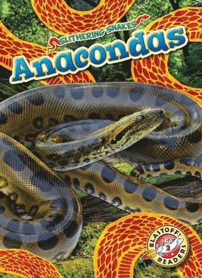 Suzane Nguyen - Anacondas, Inbunden