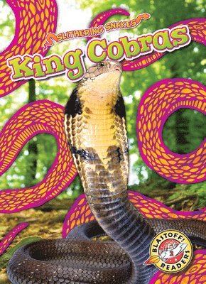 Suzane Nguyen - King Cobras, Inbunden