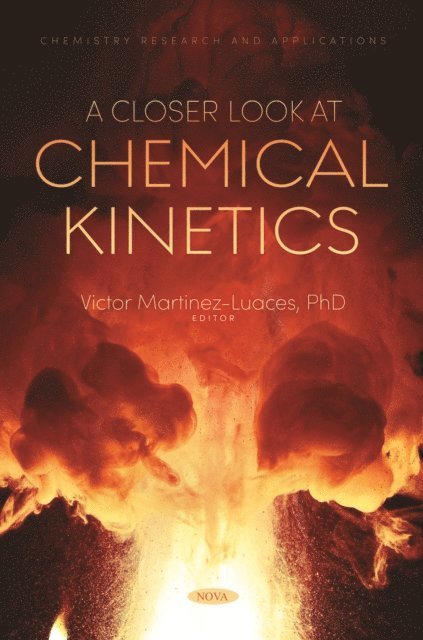 Victor Martinez-Luaces - Closer Look at Chemical Kinetics, E-bok
