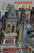 Teenage Mutant Ninja Turtles: The Mirage Years (19931995)