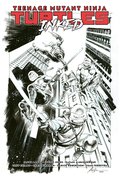 Teenage Mutant Ninja Turtles, Vol. 1: Return to New York