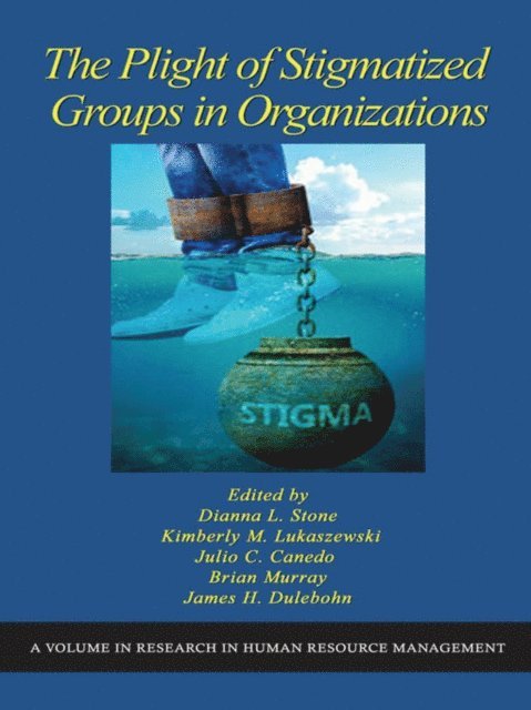 James K. Dulebohn, Brian Murray, Julio C. Canedo, Kimberly M. Lukaszewski, Dianna L. Stone - Plight of Stigmatized Groups in Organizations, E-bok