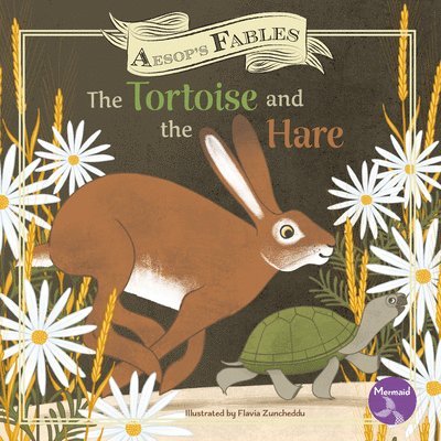 Shannon Anderson - The Tortoise and the Hare, Inbunden