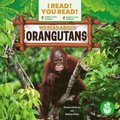We Read about Orangutans