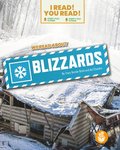 We Read about Blizzards