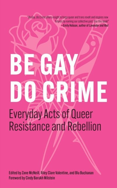 Riley Clare Valentine, Blue Buchanan, Zane McNeill - Be Gay, Do Crime, E-bok