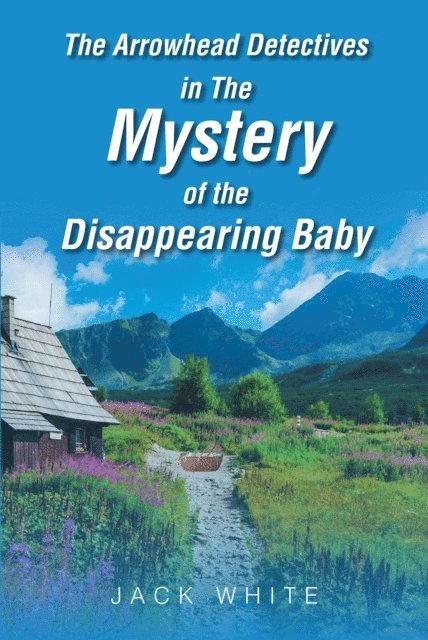 Jack White - Arrowhead Detectives in The Mystery of The Disappearing Baby, E-bok
