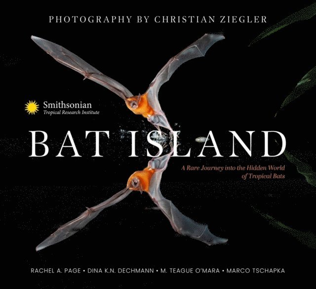 The Smithsonian Tropical Research Institute, Marco Tschapka, M.  Teague O'Mara, Dina K. N. Dechmann, Rachel A. Page - Bat Island, E-bok
