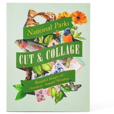 Earth Aware Editions - Cut & Collage National Parks, Häftad
