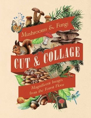 Earth Aware Editions - Cut & Collage Mushrooms and Fungi, Häftad