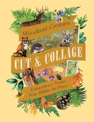 Earth Aware Editions - Cut & Collage Woodland Creatures, Häftad