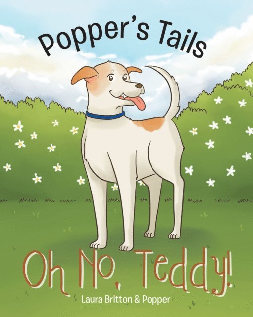 Popper, Laura Britton - OH NO, TEDDY!, E-bok