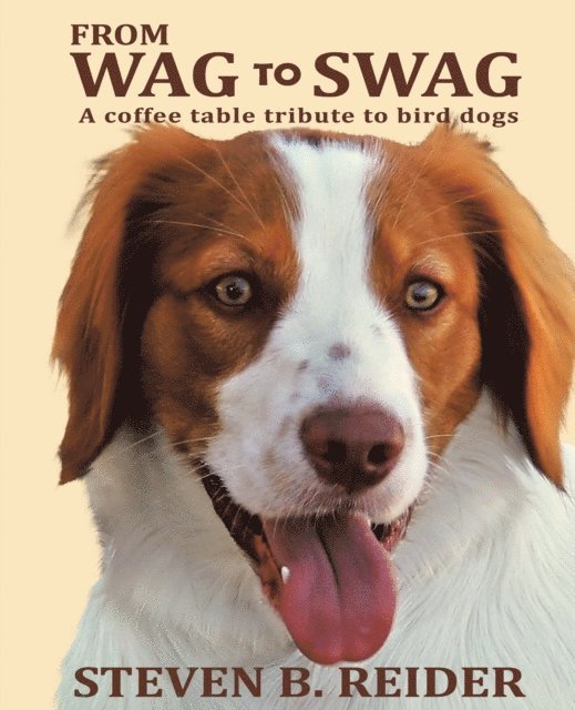 Steven B. Reider - From Wag to Swag, E-bok. Tillgänglighet: Lägg i varukorg