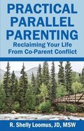Practical Parallel Parenting: Practical Parallel Parenting