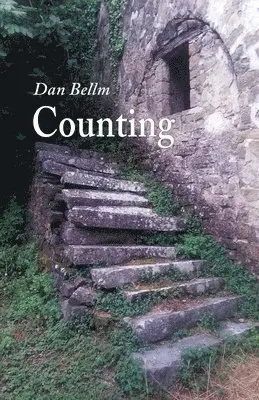 Dan Bellm - Counting, Häftad. Tillgänglighet: Lägg i varukorg