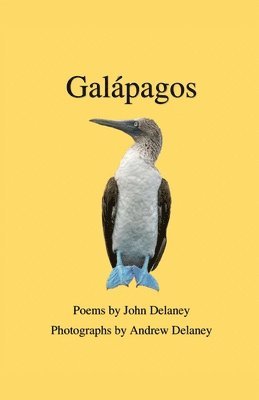 John Delaney - Galápagos, Häftad